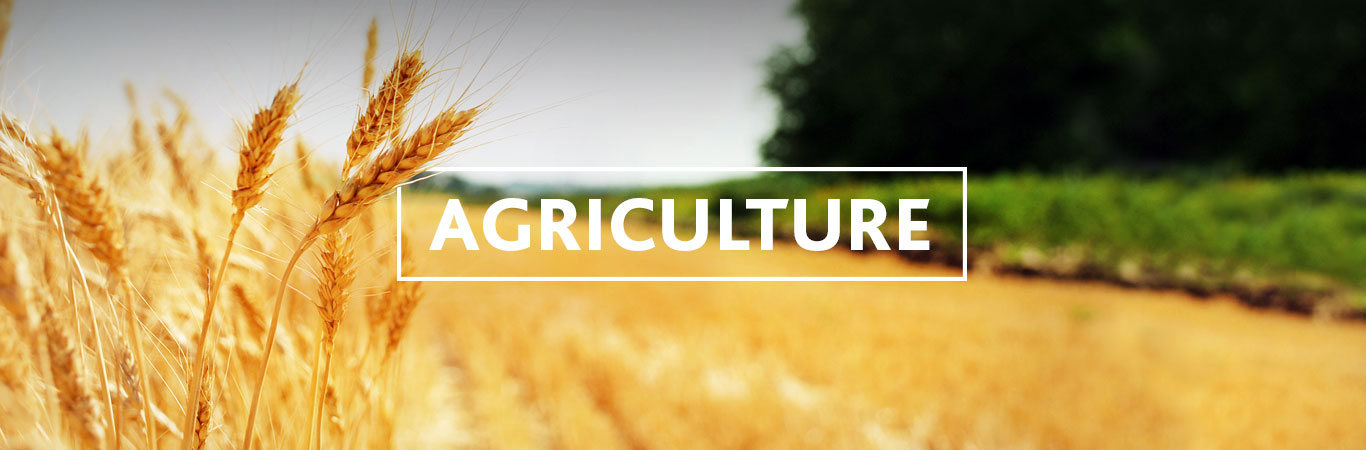 agriculture